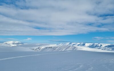 Exciting News: Fresh Snow and Open for Bookings!